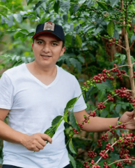 Colombia Ombligon sugarcane decaf