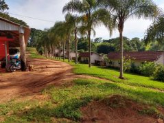 Brazil Fazenda Cruzeiro Maragogype