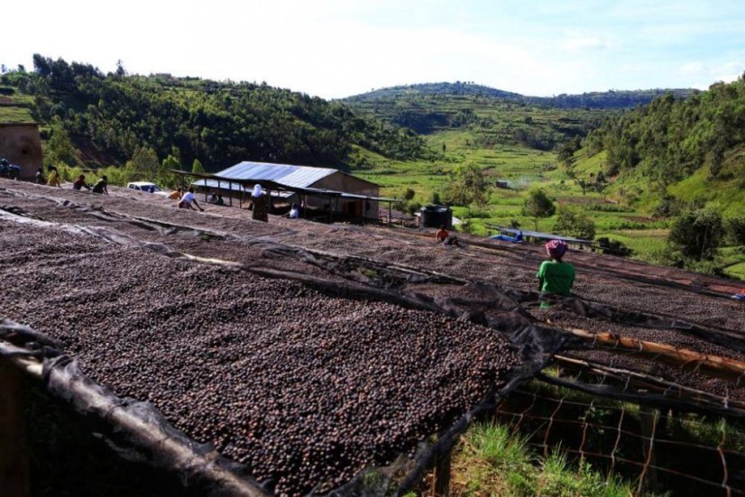 Rwanda Fugi Ikizere - Praženie a balenie: filter 250g