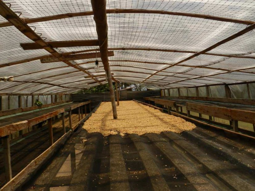 Colombia Tumbaga sugarcane decaf