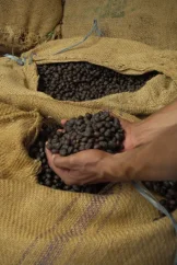 Ethiopia Hamesho Kebena