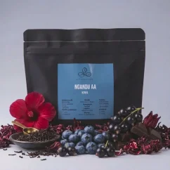 Kenya Ngandu AA