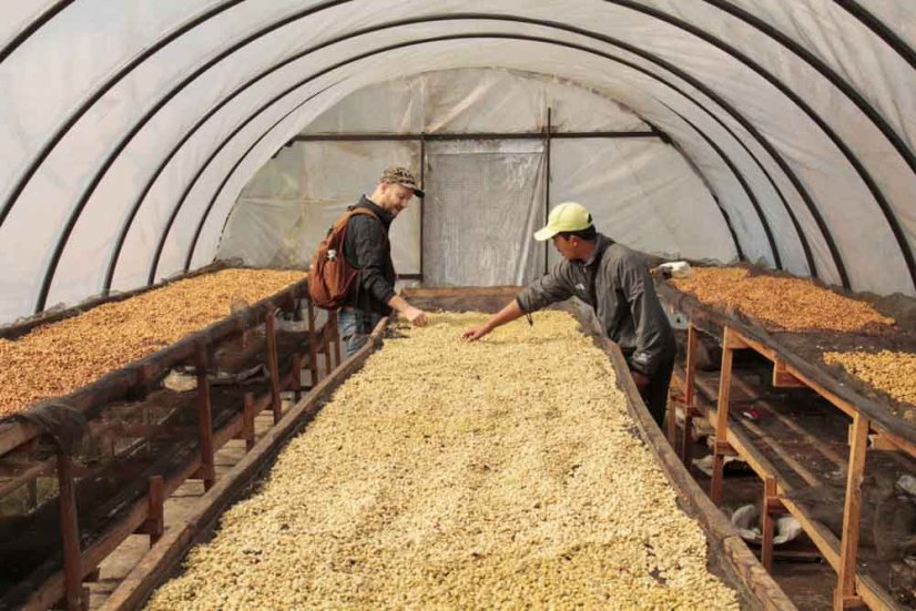 Sumatra Kerinci Bakorah - Praženie a balenie: espresso 250g