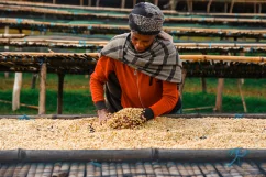 Ethiopia Hamasho