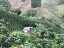 Colombia Hacienda La Claudina 1000g