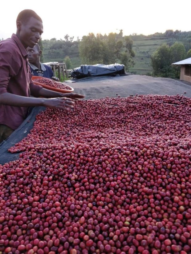 Rwanda Fugi Ikizere - Praženie a balenie: filter 250g