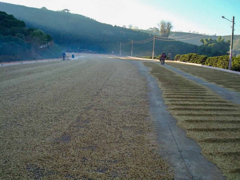 Brazil Fazenda das Almas natural anaerobic - Praženie a balenie: espresso 250g