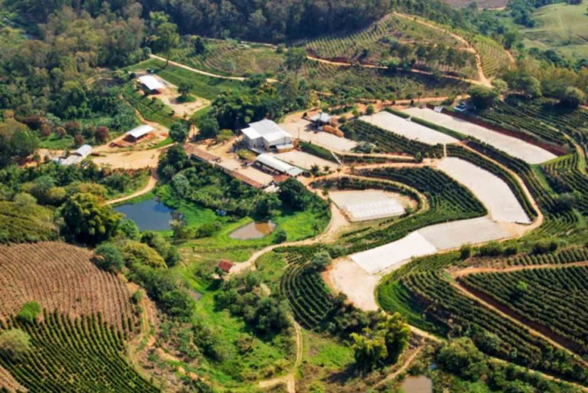 Brazil Fazenda das Almas natural anaerobic - Praženie a balenie: espresso 250g