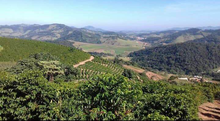 Brazil Sítio Dois Irmaos - Praženie a balenie: espresso 500g