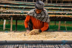 Ethiopia Hamasho