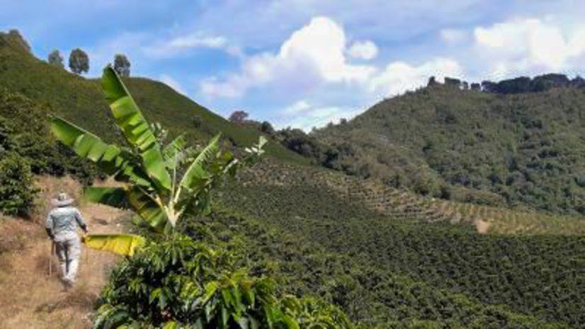 Colombia La Secreta - Praženie a balenie: espresso 250g