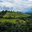 Colombia Ancestro - Praženie a balenie: espresso 500g