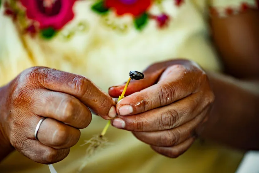 Guatemala Finca Pampojila - Praženie a balenie: espresso 250g