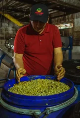 Colombia Monteblanco geisha cold