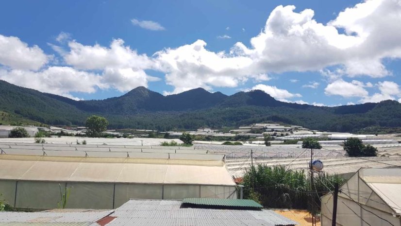 Vietnam Langbiang Supernatural - Praženie a balenie: espresso 500g