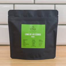 Panama Loma de Los Cedros