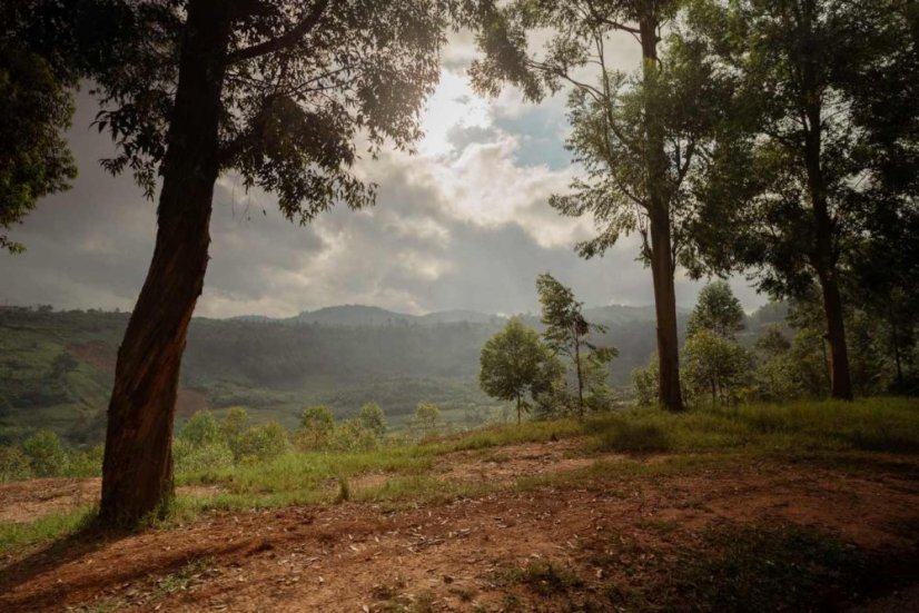 Rwanda Gisheke - Praženie a balenie: filter 250g