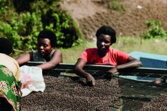 Rwanda Gisheke