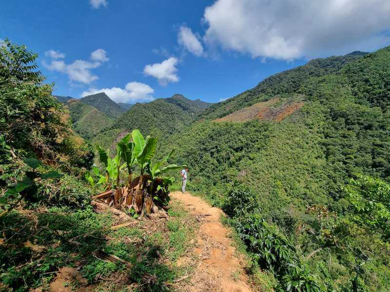 Peru San José del Salto geisha - Praženie a balenie: filter 500g