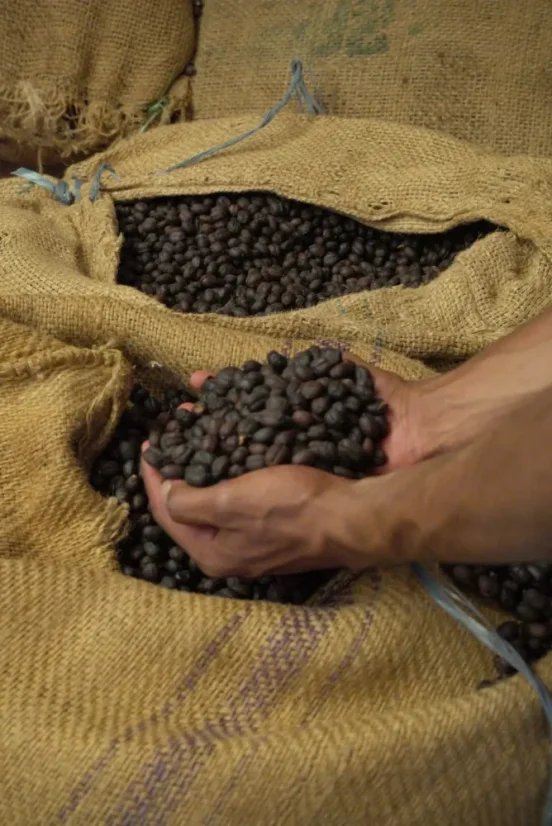 Ethiopia Hamesho Kebena - Praženie a balenie: espresso 250g