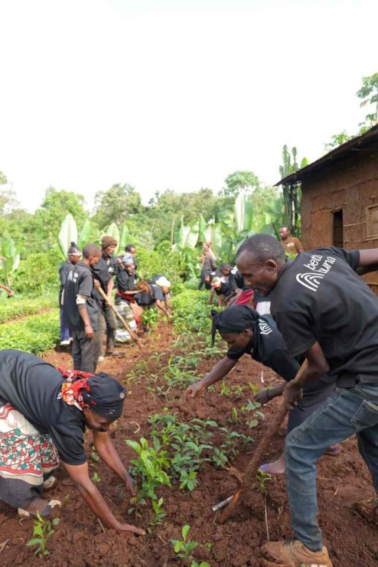 Ethiopia Guji Mekadu - Praženie a balenie: filter 500g
