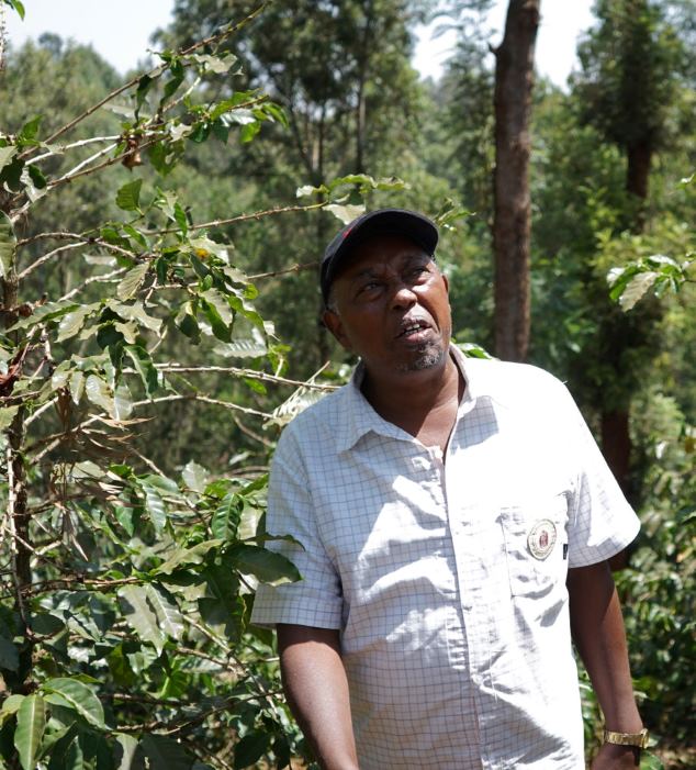 Kenya Juliana Kiambu AA - Praženie a balenie: espresso 250g