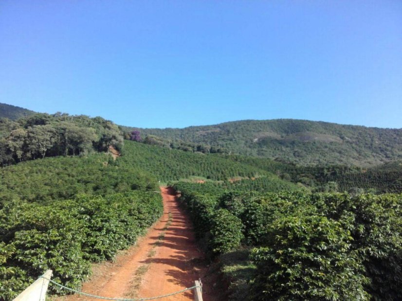 Brazil Sítio Dois Irmaos - Praženie a balenie: espresso 500g