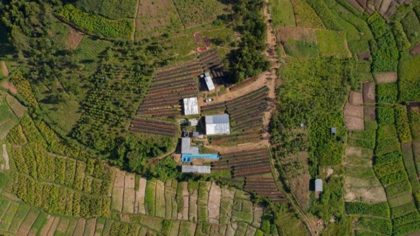 Rwanda Fugi Ikizere - Praženie a balenie: filter 250g