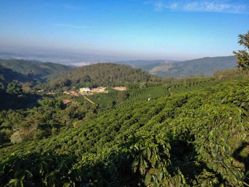 Brazil Fazenda das Almas natural anaerobic - Praženie a balenie: espresso 250g