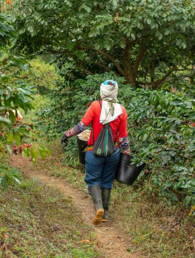 Colombia Hacienda La Claudina 1000g