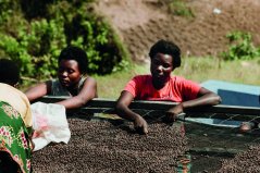 Rwanda Gisheke