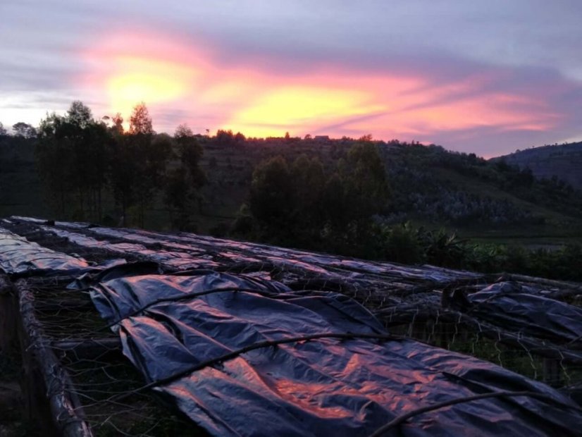 Rwanda Fugi Ikizere - Praženie a balenie: filter 250g