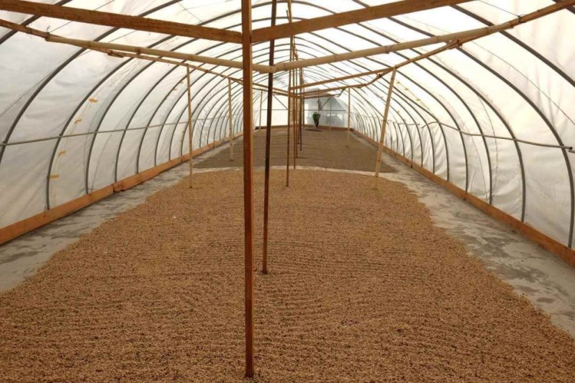 Sumatra Gayo Sesongot anaerobic honey - Praženie a balenie: filter 500g